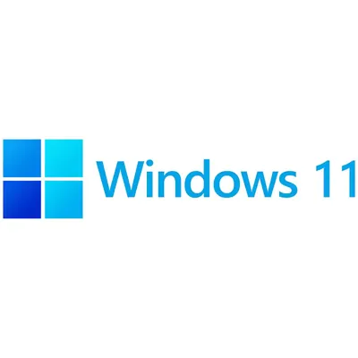 Microsoft Windows 11 Home OEM 64-Bit DVD