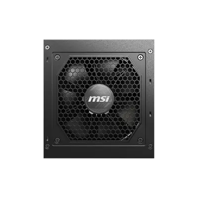 MSI MAG A750GL 750W Gold Modular Power Supply