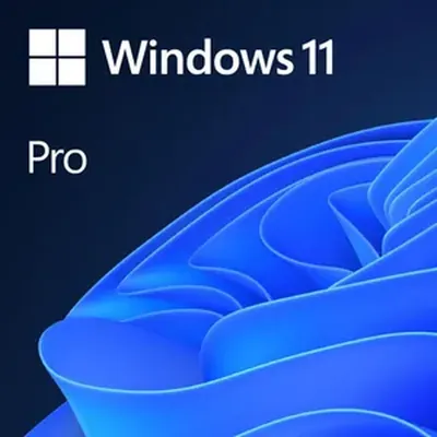 Microsoft Windows 11 Professional OEM 64-Bit DVD
