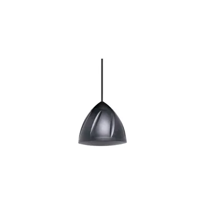 Redback 100V Line 40W Black Ball Pendant Ceiling Speaker 