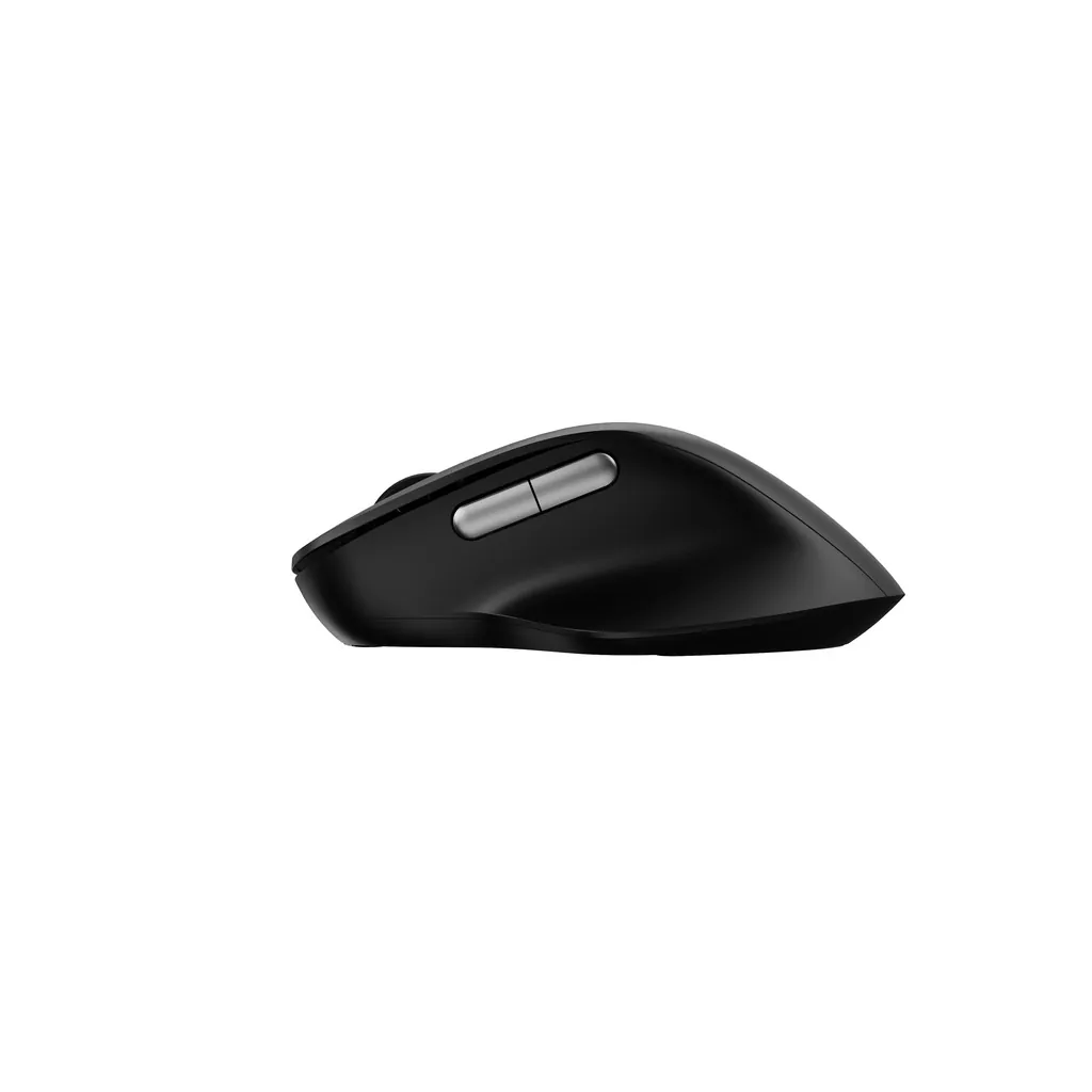 RAPOO M50 PLUS Wireless Mouse (Black)
