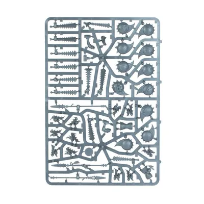 Warhammer Age of Sigmar: Spearhead: Seraphon