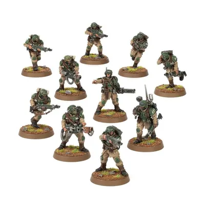 Warhammer 40,000: Astra Millatarum: Cadian Shock Troops