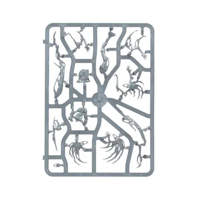 Warhammer Age of Sigmar: Nighthaunt: Spirit Hosts
